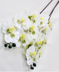 Buket Modelleri (11)